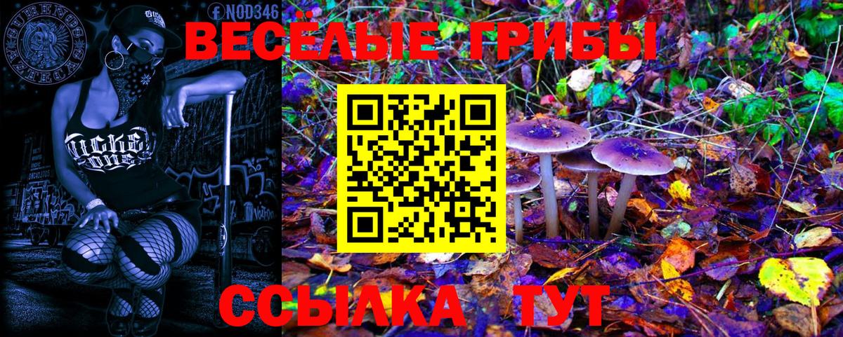 Псилоцибиновые грибы Magic Shrooms  Вход с VPN  Морозовск  дарнет шоп  Псилоцибиновые грибы MAGIC MUSHROOMS 